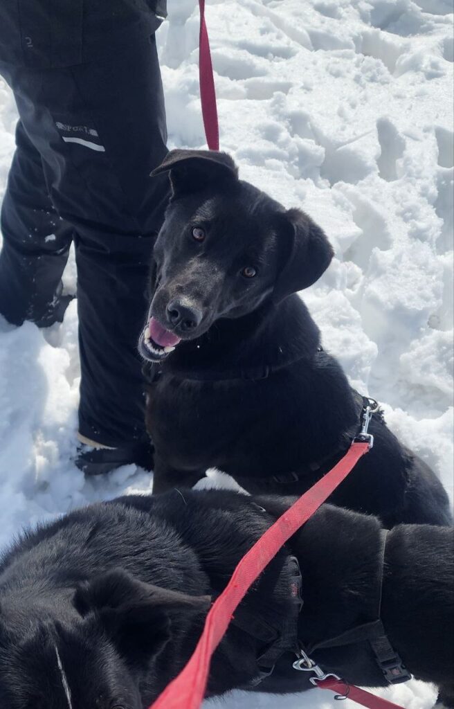 Ella-5