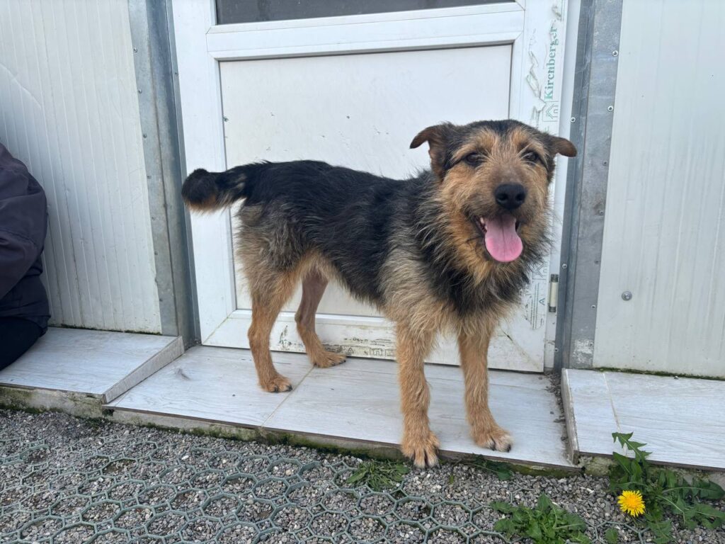 Ernie-5
