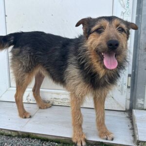 Ernie