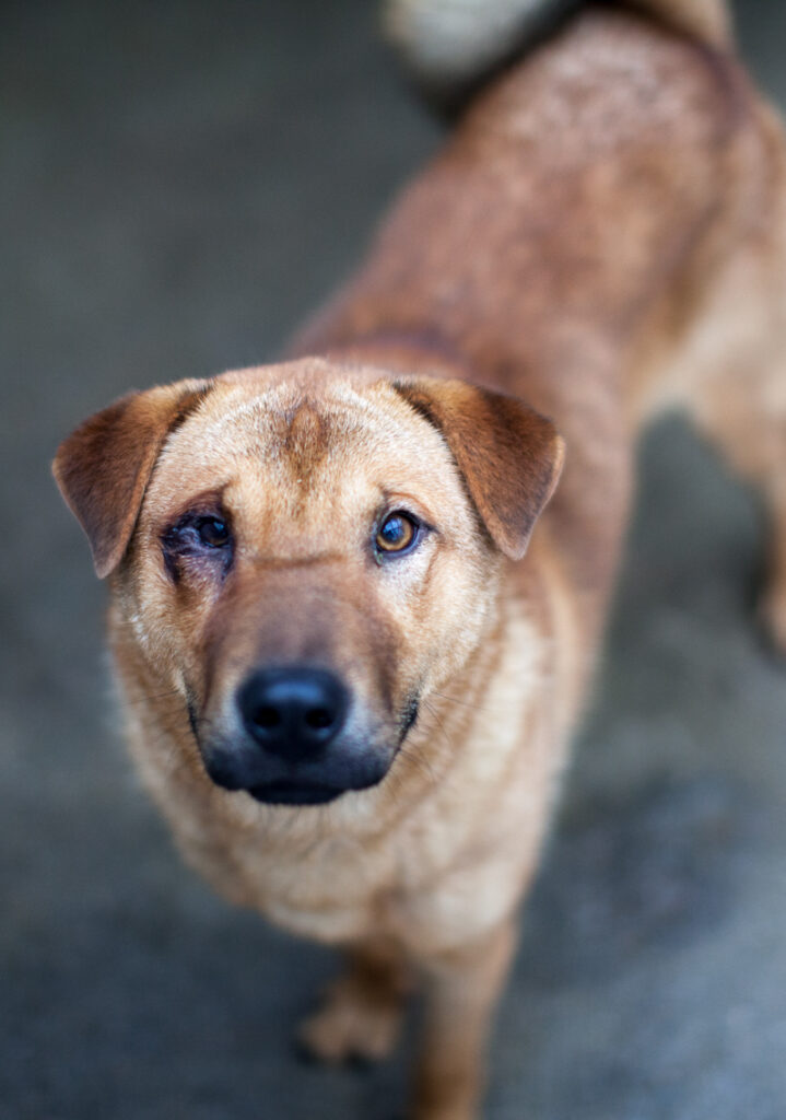Buster-1