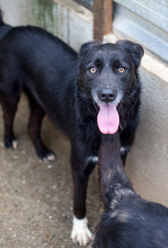 Chicago-6